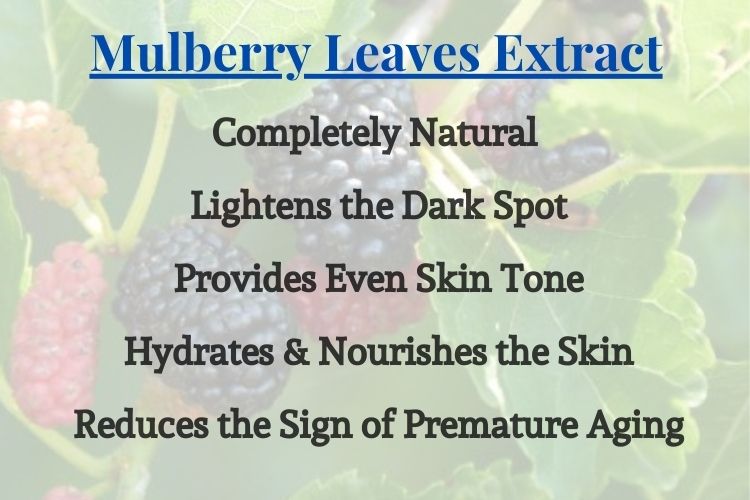 Mulberry extract skin lightening ingredients Benefits