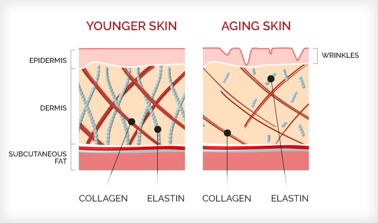 collagen for wrinkles and fine lines